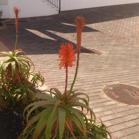 Villas Salinas De Matagorda מראה חיצוני תמונה